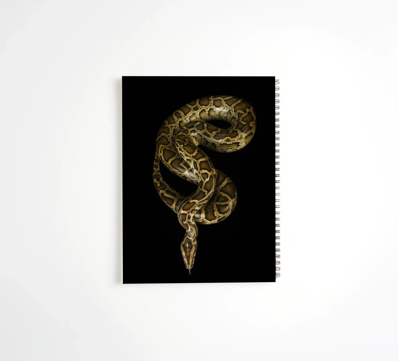 Python spiral notebook by Curious Collections by Marielle Leenders