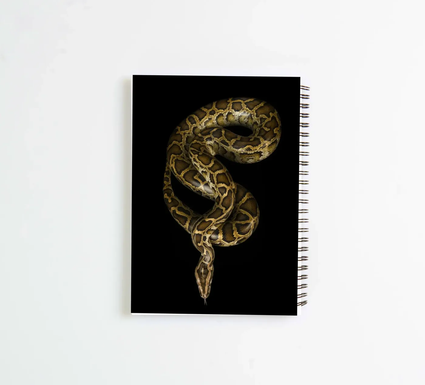 Python carnet à spirale de Curious Collections by Marielle Leenders