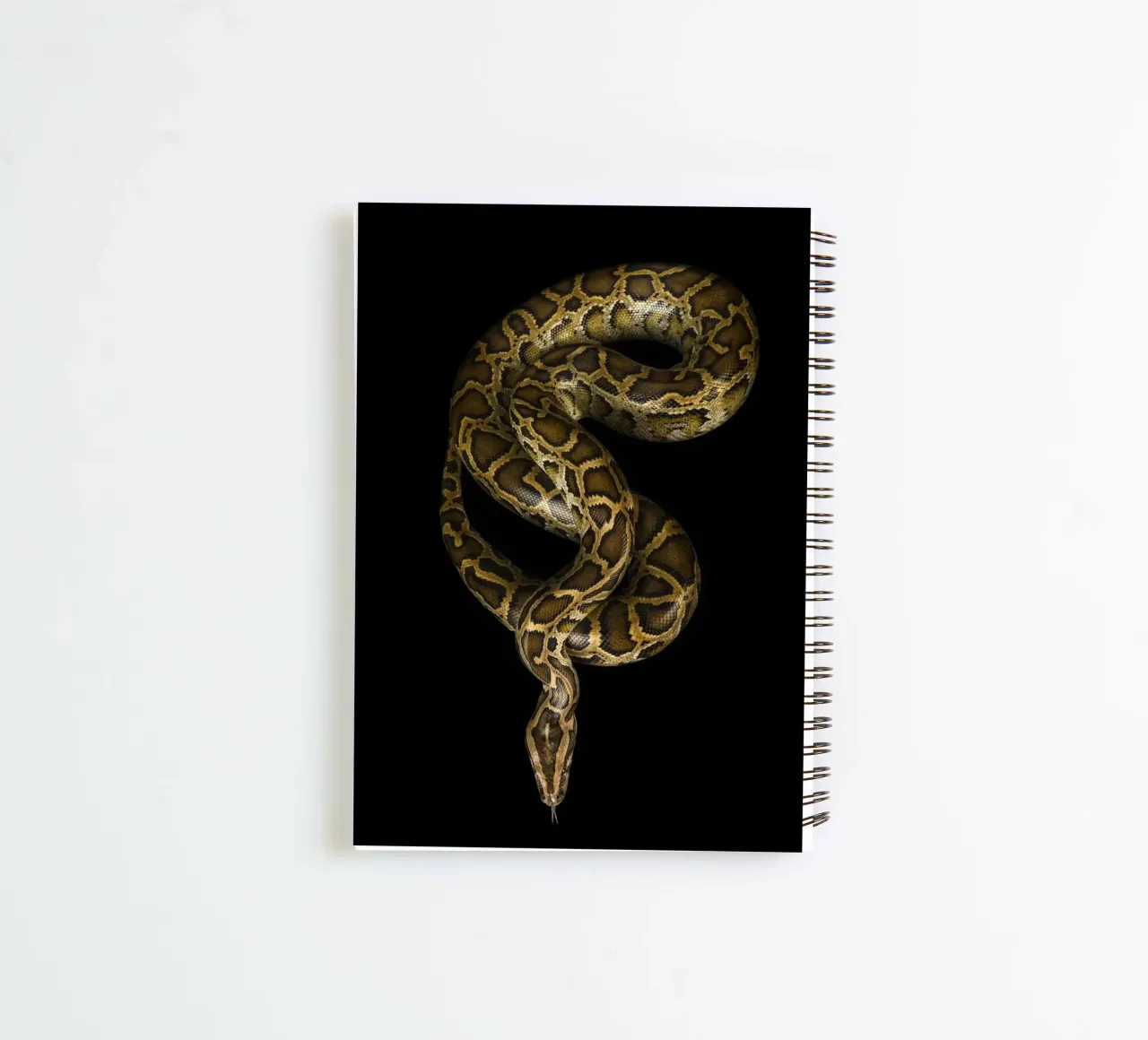 Python spiral notebook by Curious Collections by Marielle Leenders