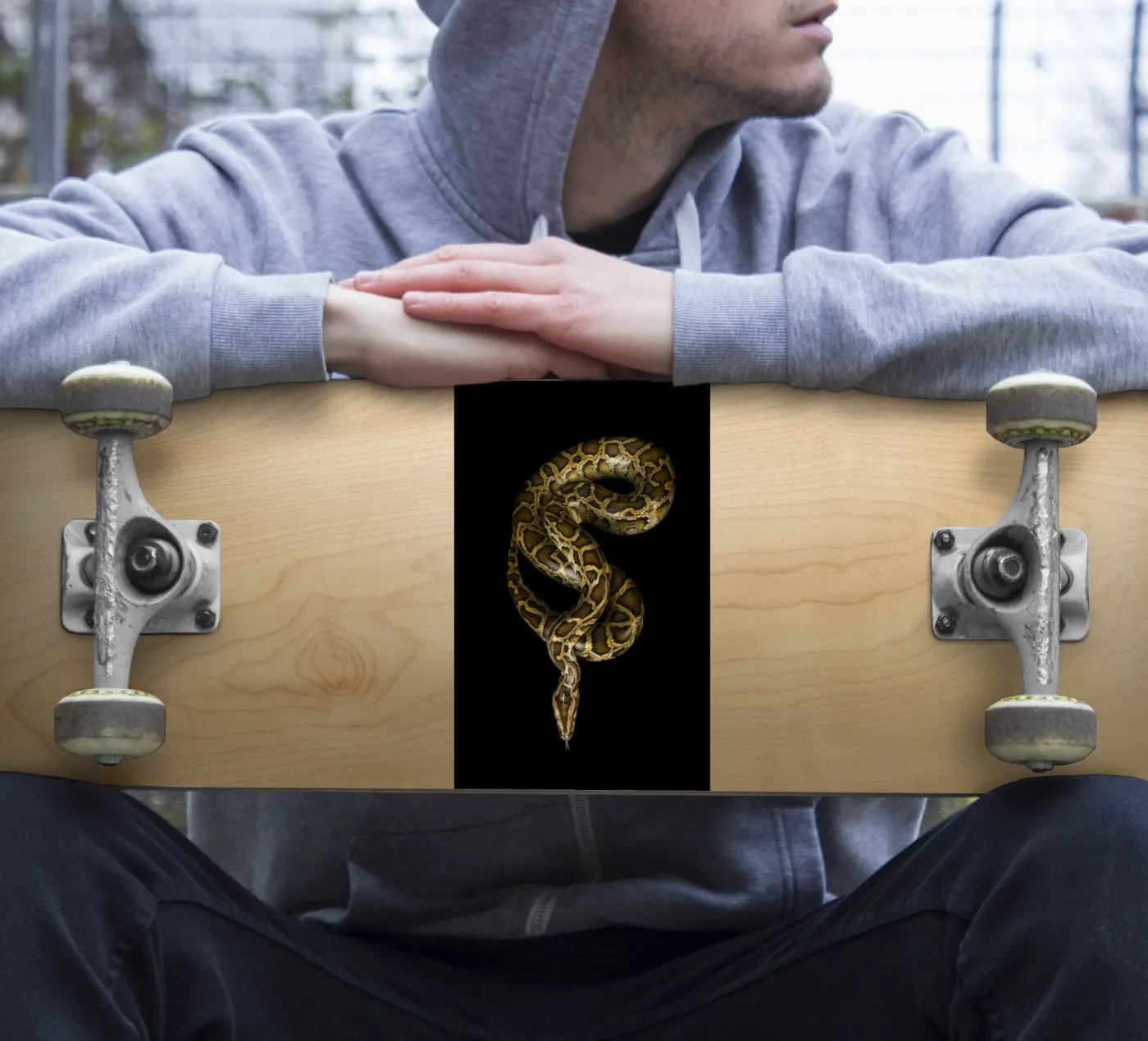 Python Sticker von Curious Collections by Marielle Leenders