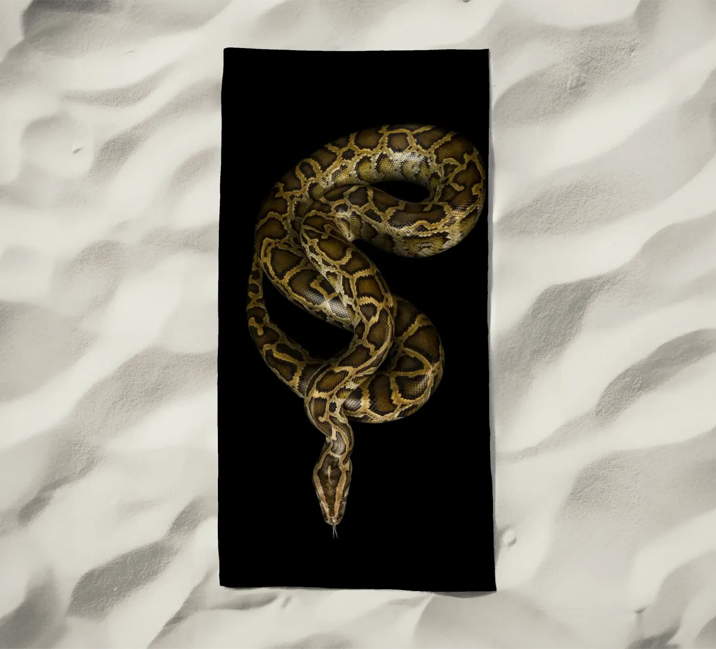 Python telo mare da Curious Collections by Marielle Leenders