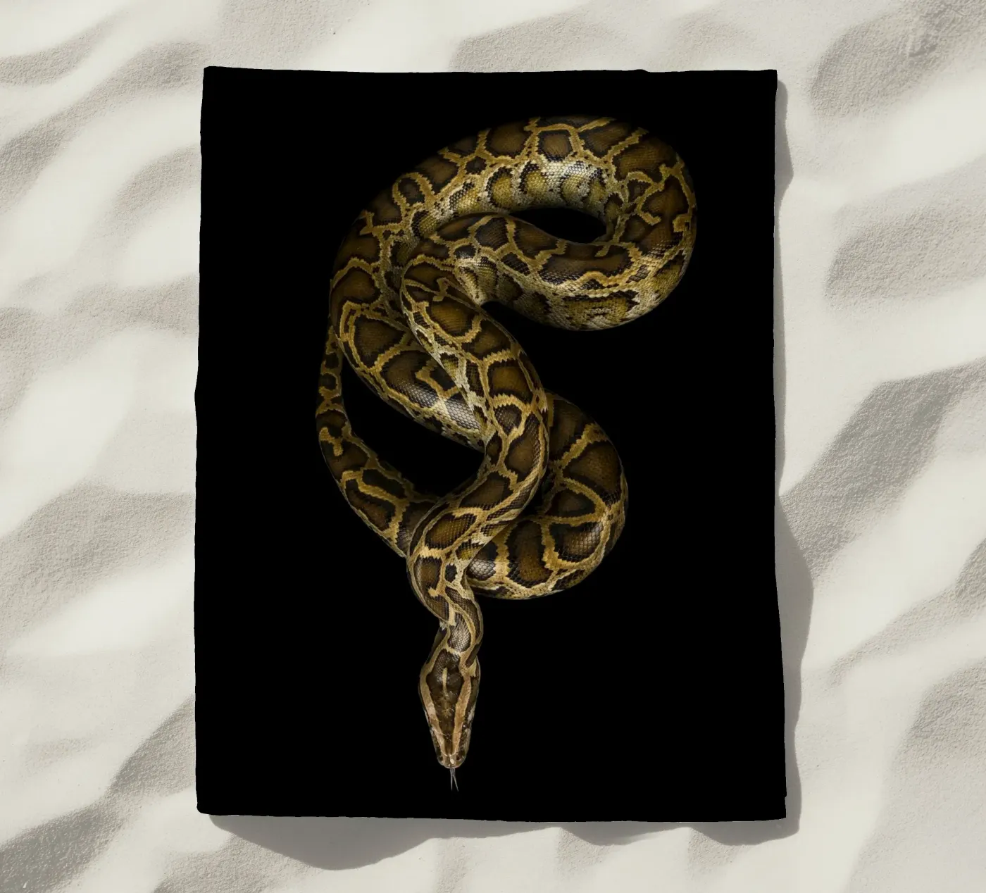 Python telo mare da Curious Collections by Marielle Leenders