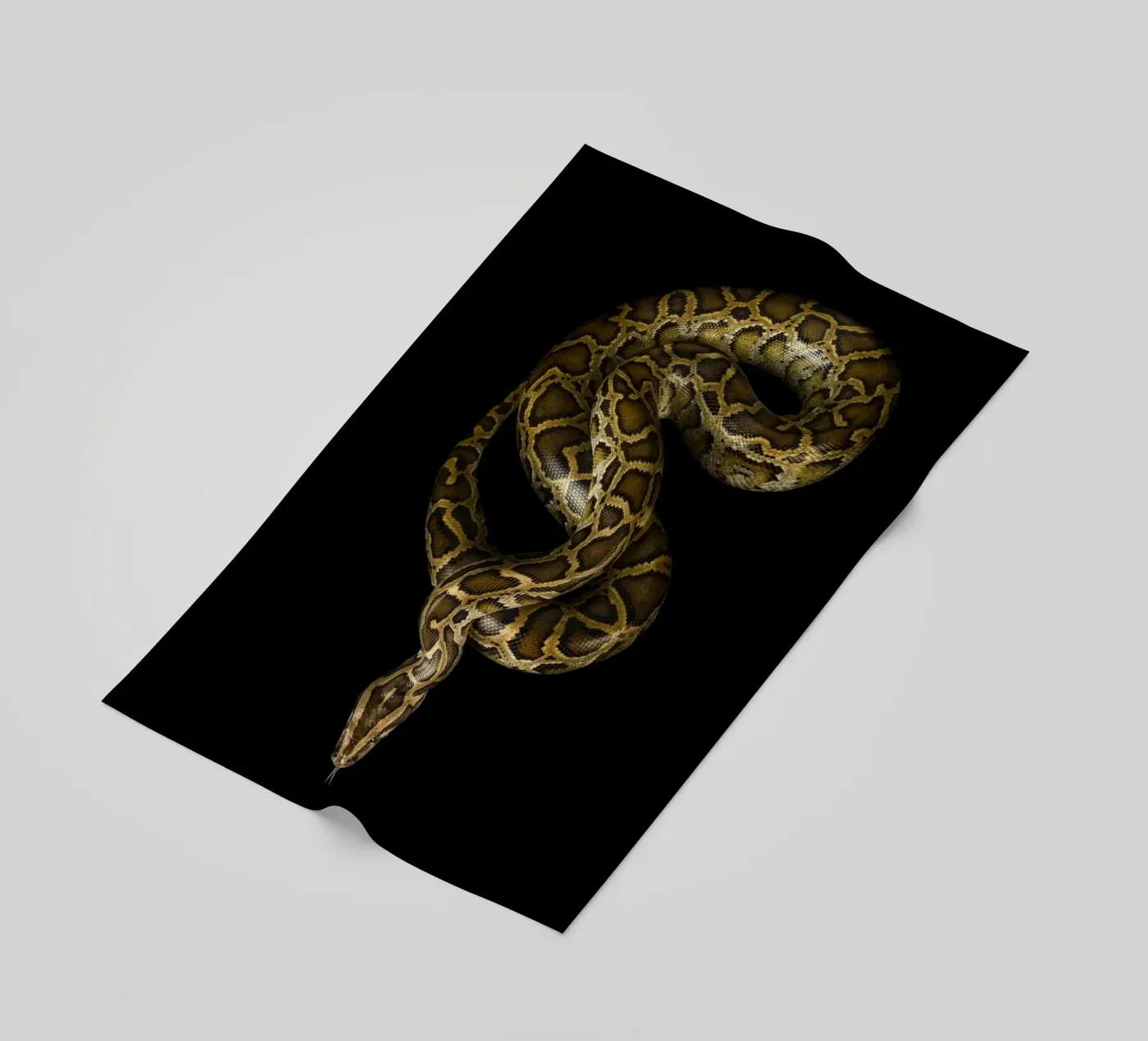 Python beach towel by Curious Collections by Marielle Leenders