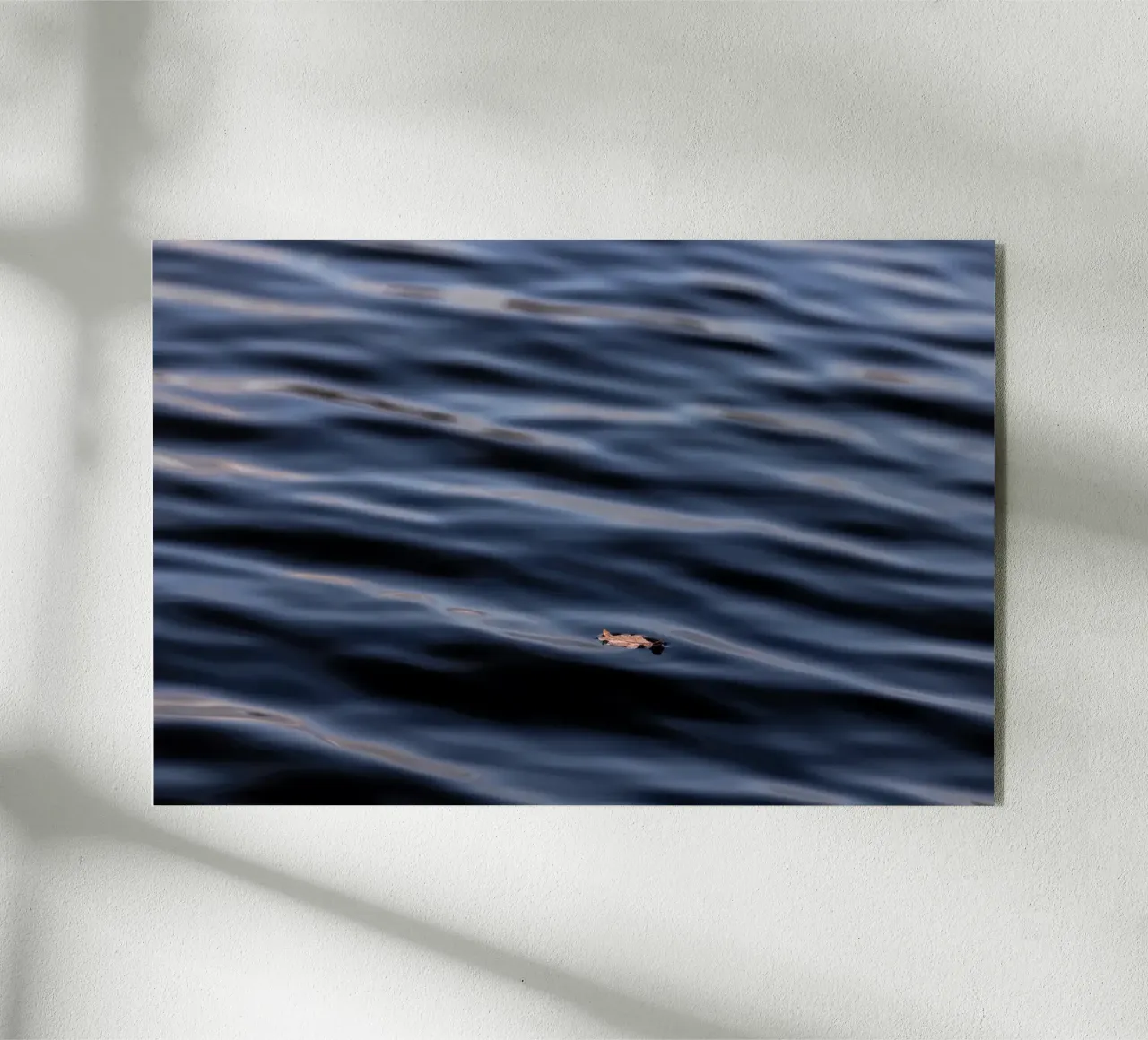 Floating Leaf 1 plexiglass da Mareike Böhmer Photography