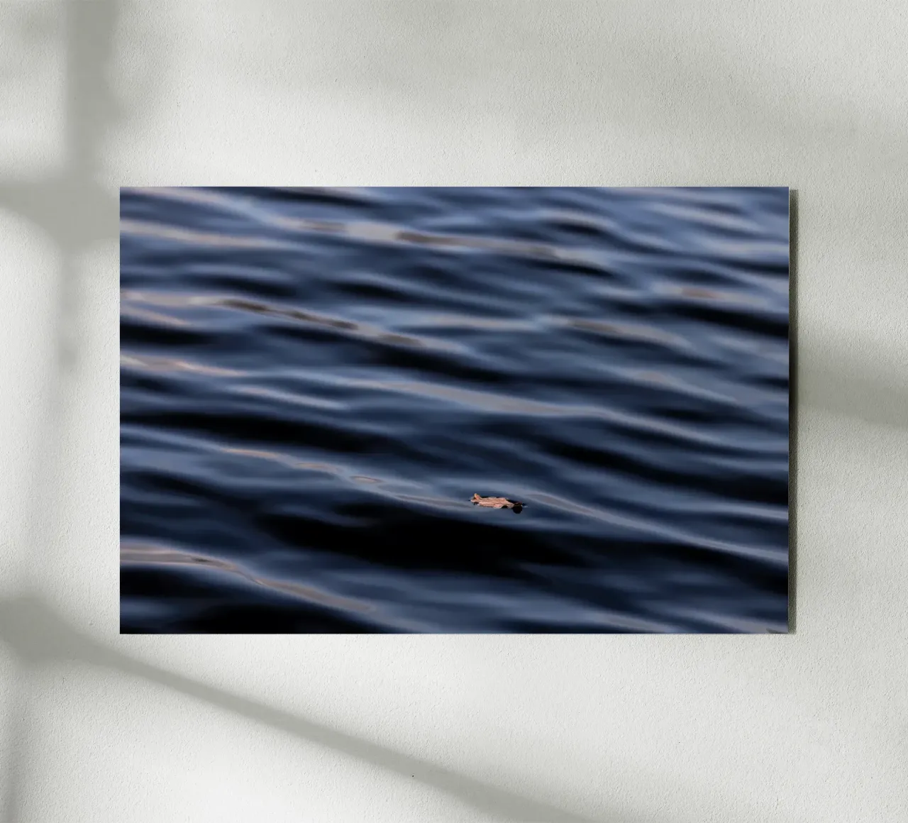 Floating Leaf 1 forex plate by Mareike Böhmer Photography