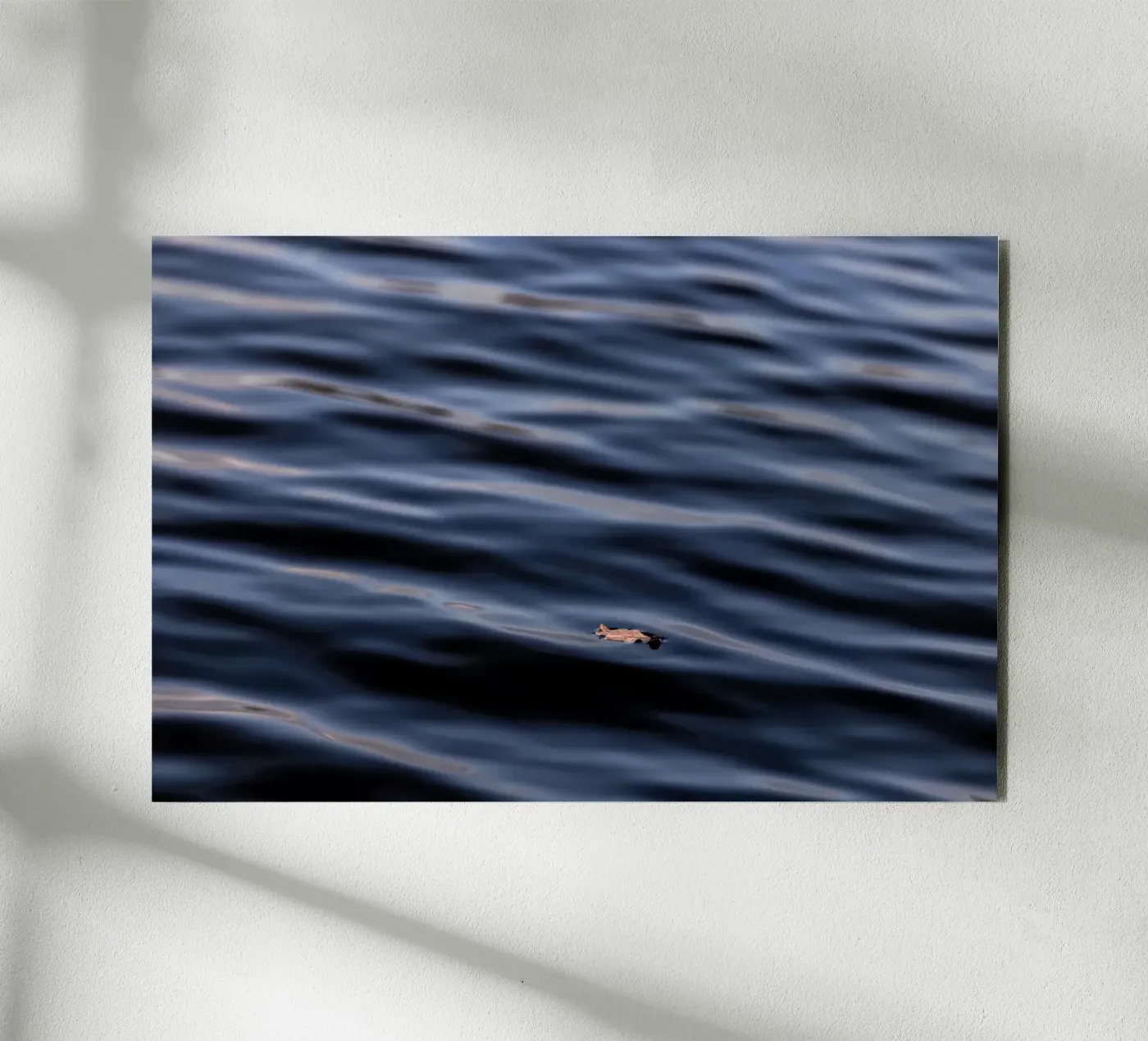 Floating Leaf 1 panneau forex de Mareike Böhmer Photography