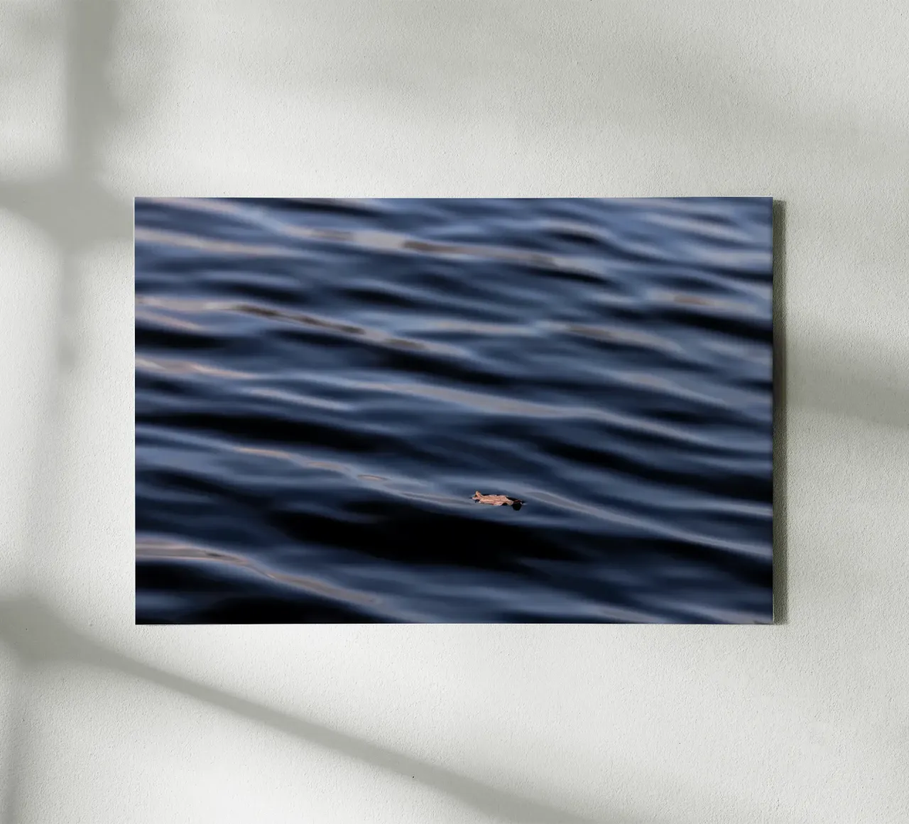 Floating Leaf 1 tela con Cornice a cassetta da Mareike Böhmer Photography
