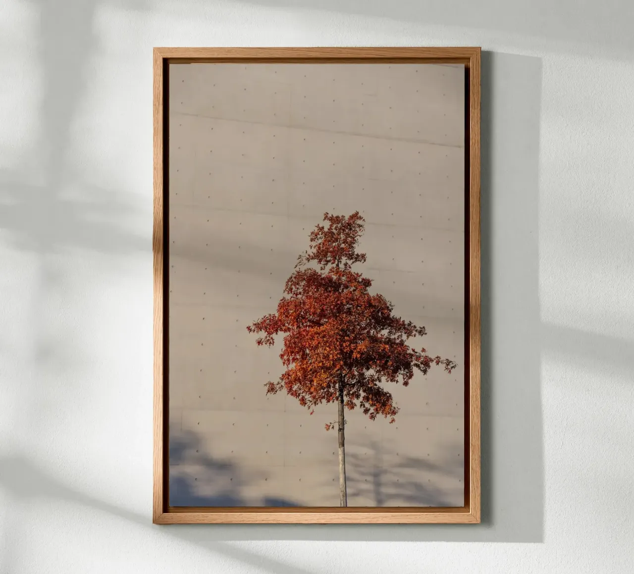 One Autumn Tree canvas with Floater frame by Mareike Böhmer Photography