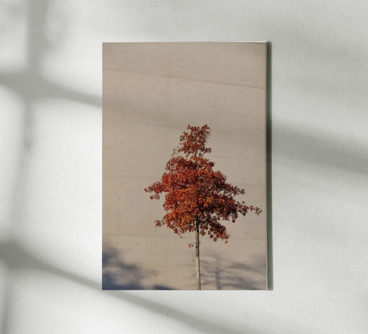 One Autumn Tree canvas with Floater frame by Mareike Böhmer Photography