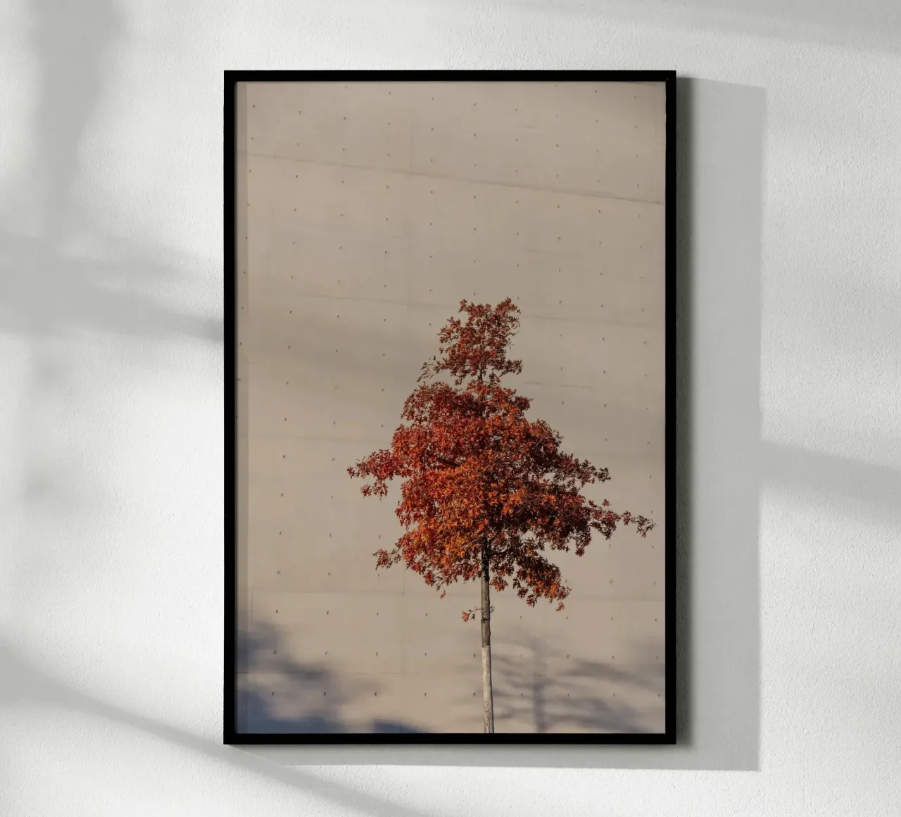 One Autumn Tree poster da Mareike Böhmer Photography