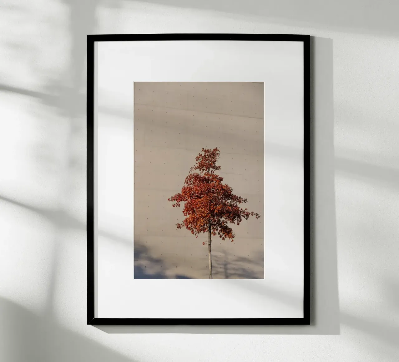 One Autumn Tree poster da Mareike Böhmer Photography