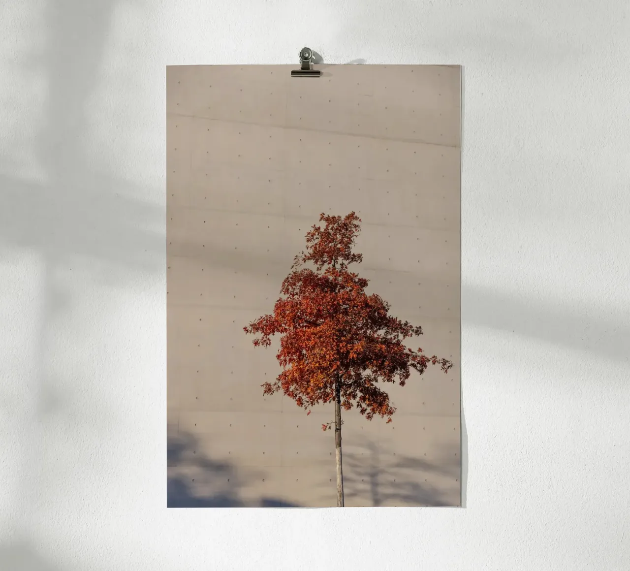 One Autumn Tree poster da Mareike Böhmer Photography