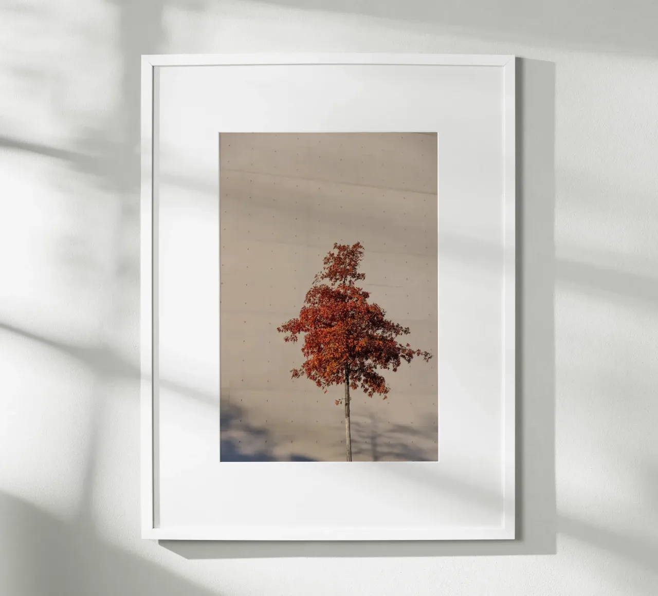 One Autumn Tree poster da Mareike Böhmer Photography
