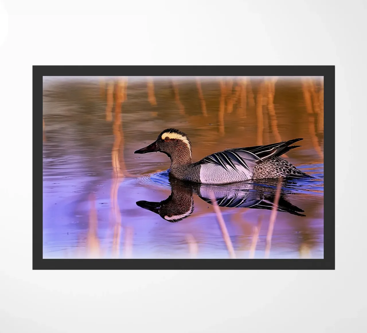 FAA78 doormat by Thierry vobmann photography