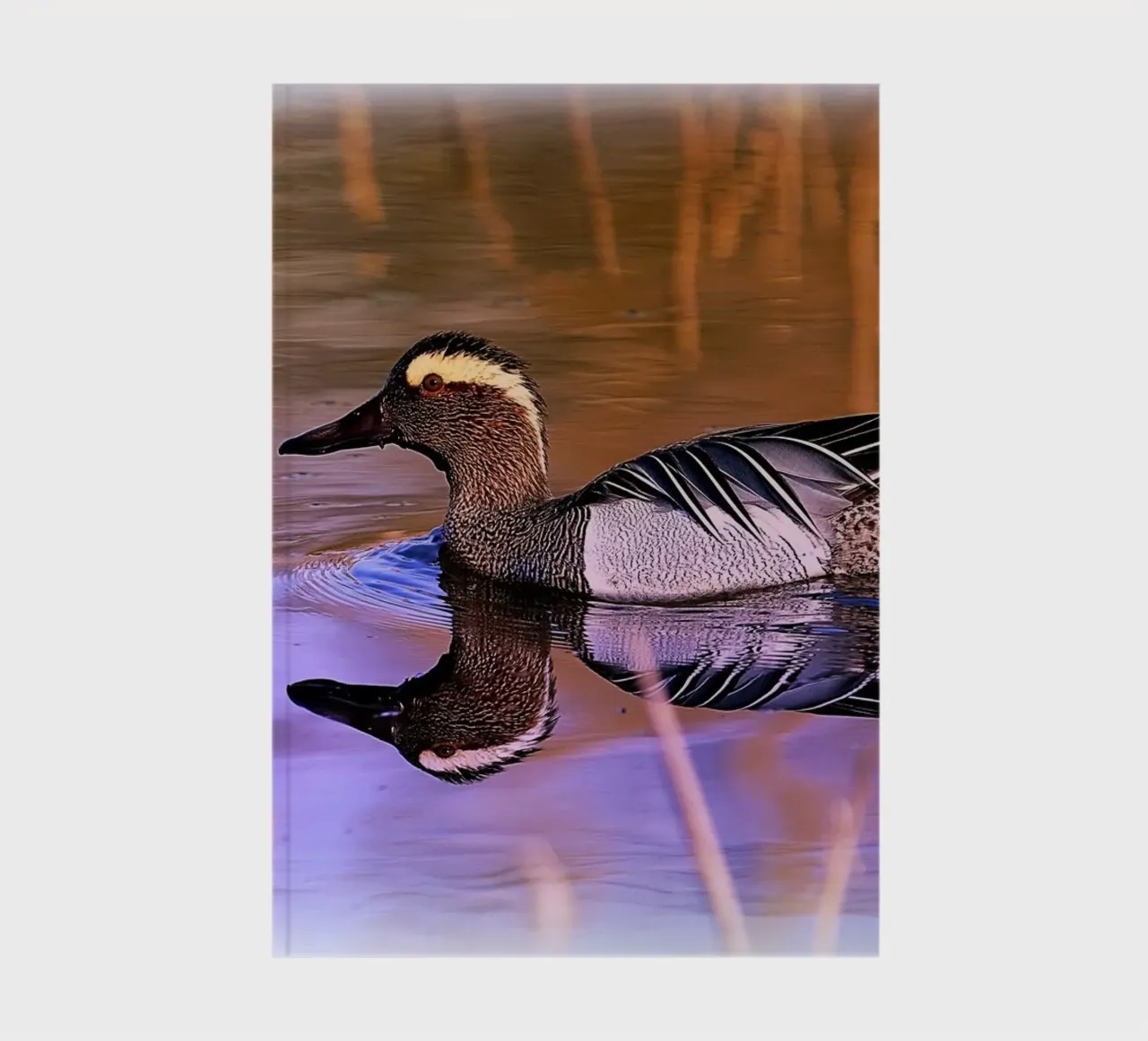 FAA78 notebook by Thierry vobmann photography