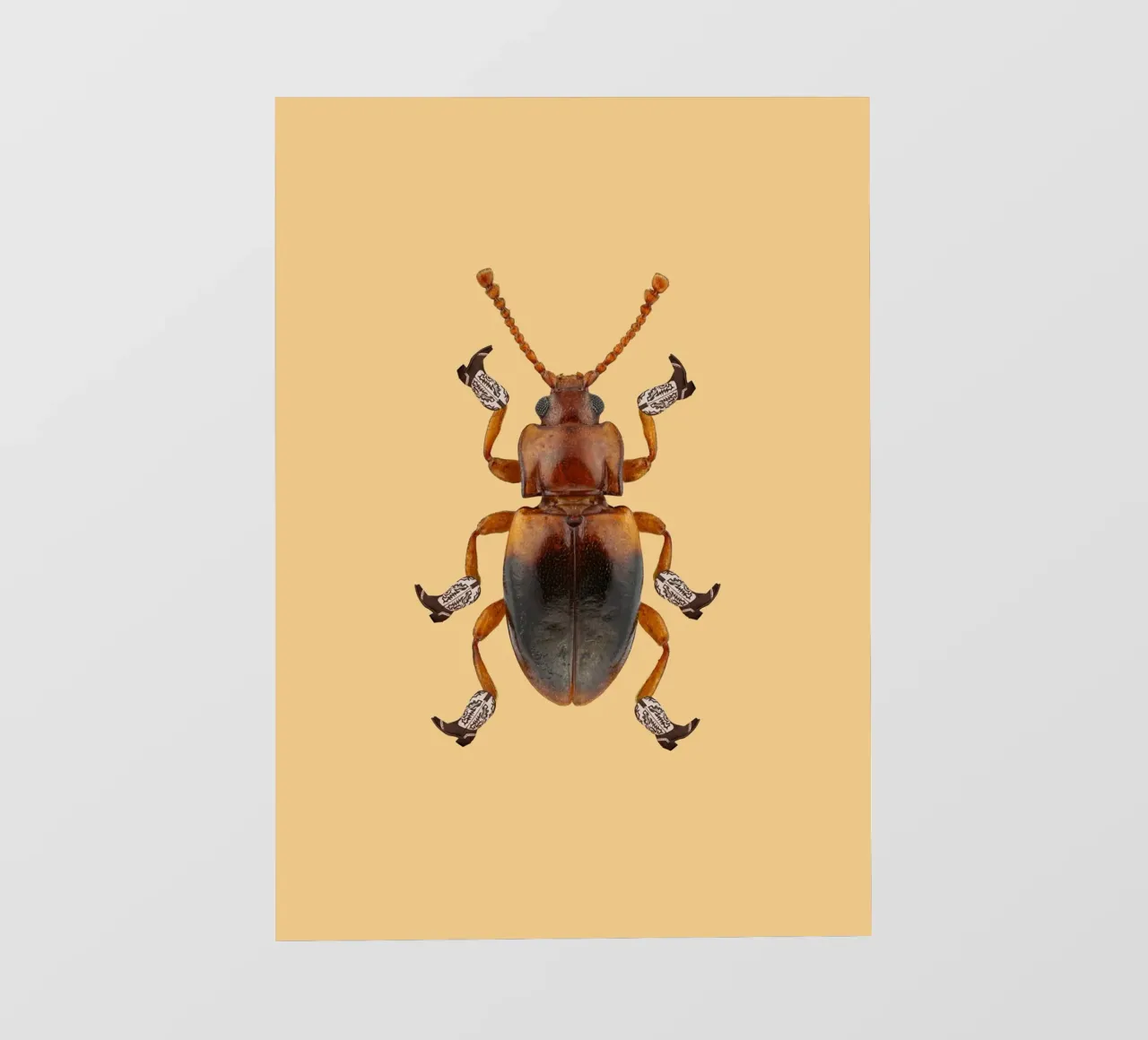 Billy The Booted Beetle telo in pvc da AnyoneCanYeehaw