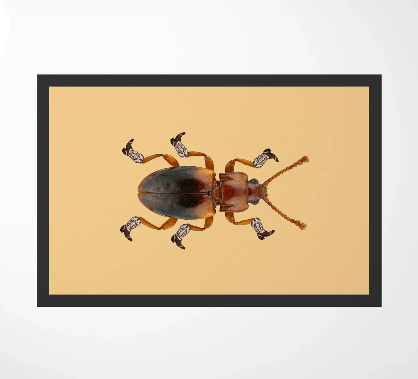 Billy The Booted Beetle zerbino da AnyoneCanYeehaw