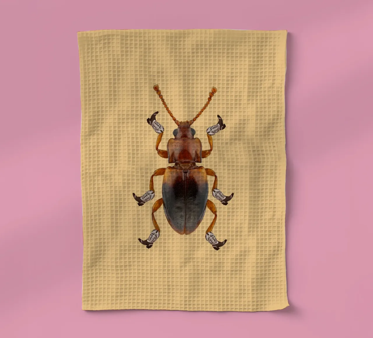 Billy The Booted Beetle canovaccio da cucina da AnyoneCanYeehaw