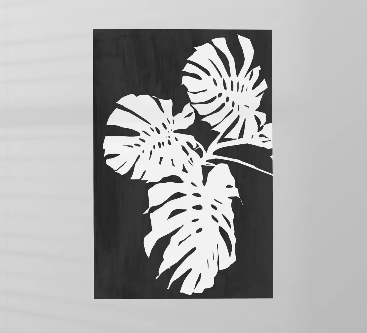 Colpo di vernice nera di Monstera pellicola backlit da amini54