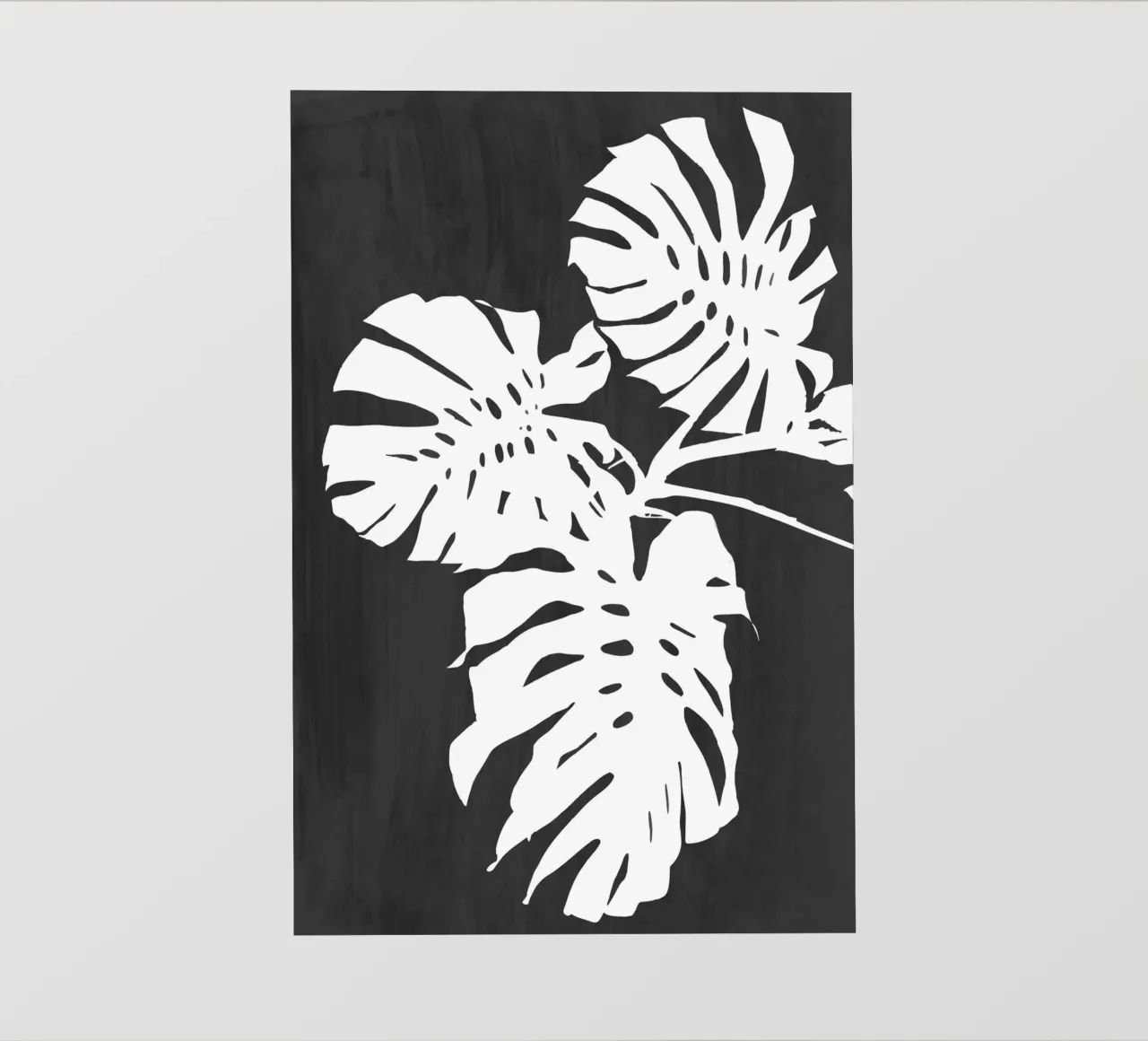 Colpo di vernice nera di Monstera pellicola backlit da amini54