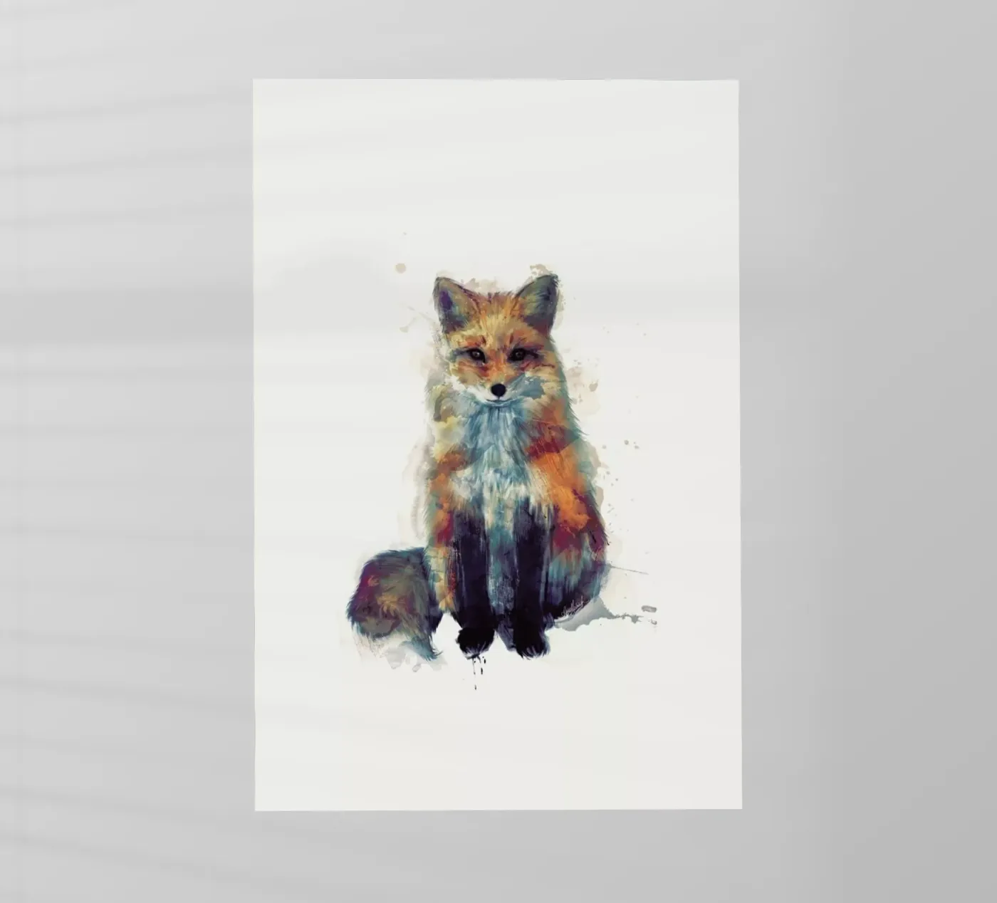 Fox pellicola backlit da Amy Hamilton