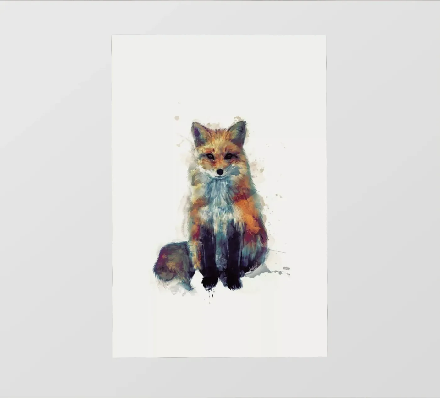 Fox pellicola backlit da Amy Hamilton