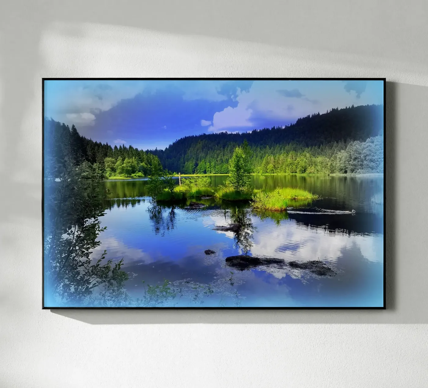 FAA79 acrylic glass by Thierry vobmann photography