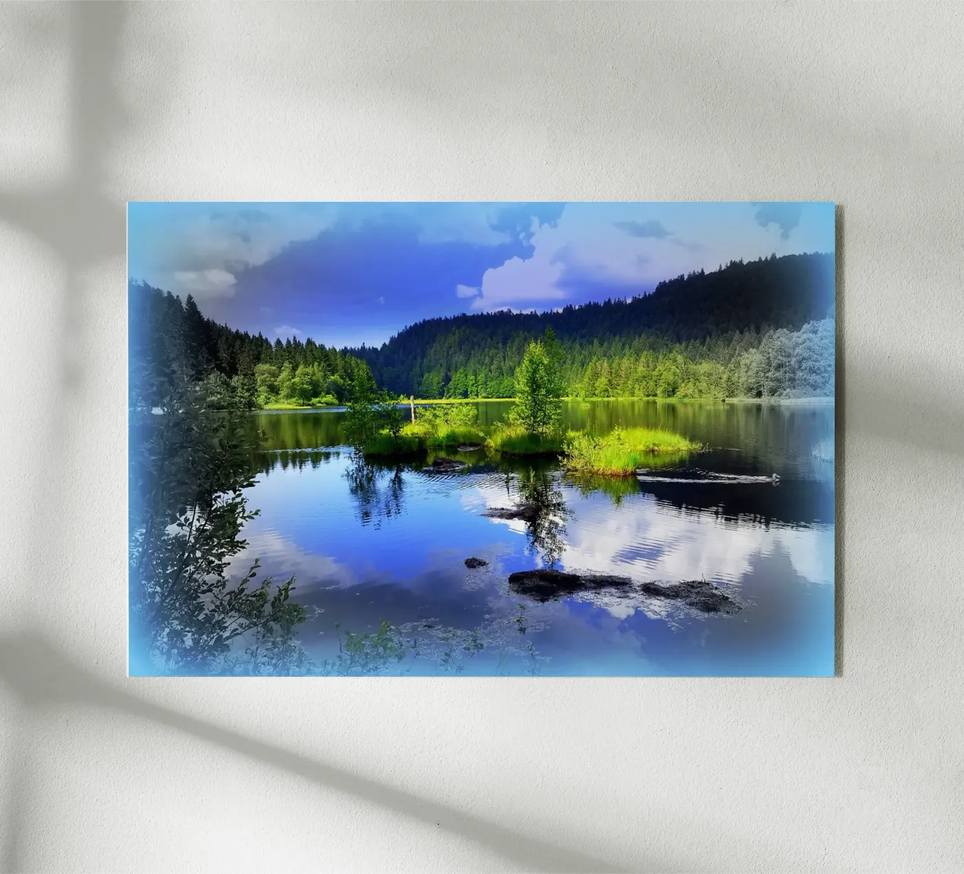 FAA79 plexiglass da Thierry vobmann photography