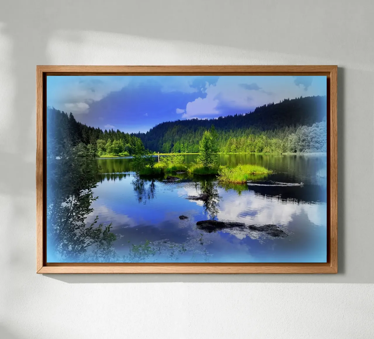 FAA79 pannello forex da Thierry vobmann photography