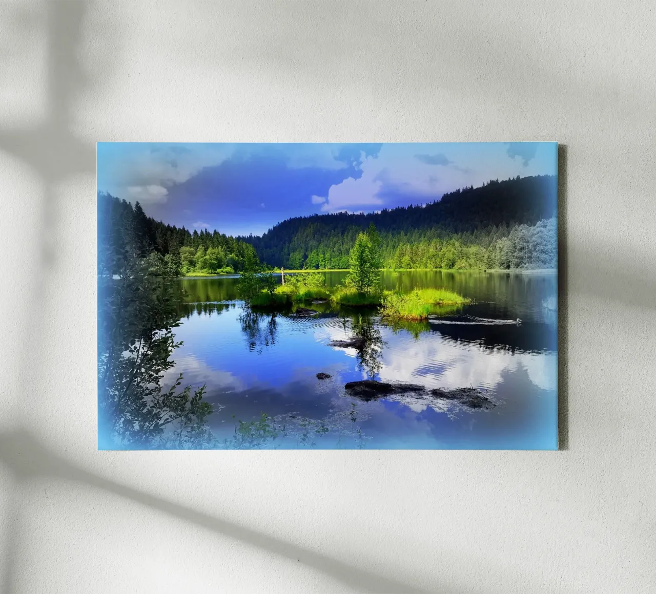 FAA79 tela da Thierry vobmann photography