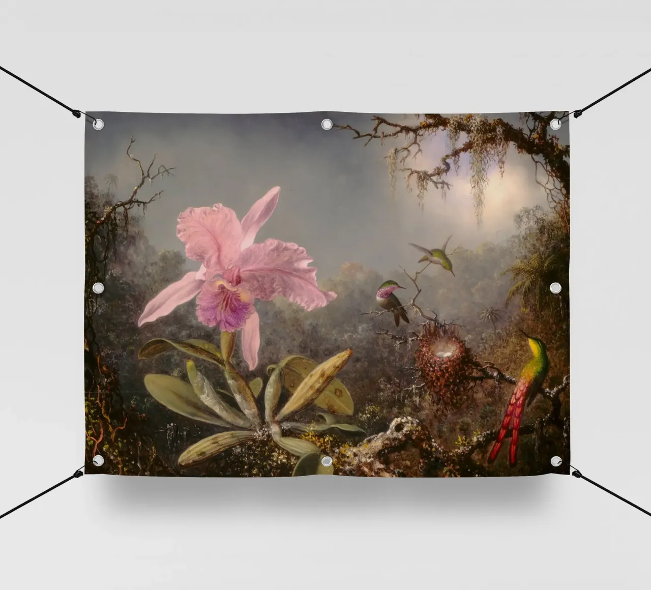 Martin Johnson Heade - Orchidea cattleya telo in pvc da ARTOTHEK