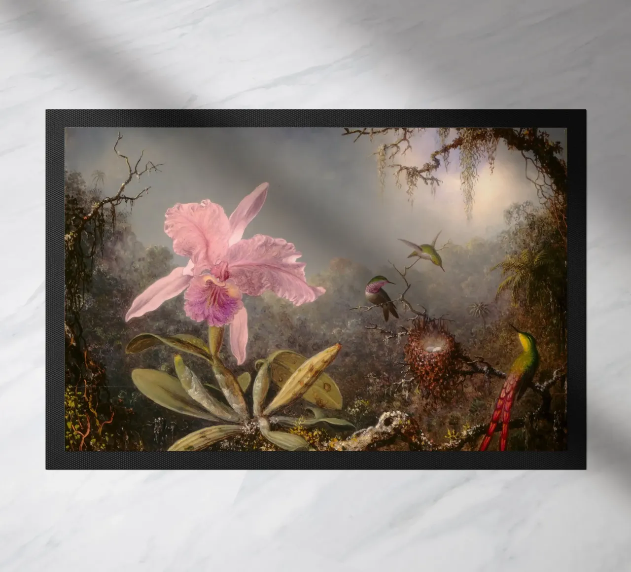 Martin Johnson Heade - Orchidea cattleya zerbino da ARTOTHEK
