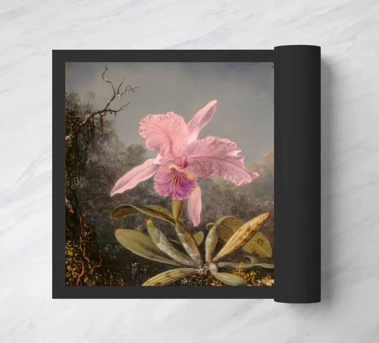 Martin Johnson Heade - Orchidea cattleya zerbino da ARTOTHEK