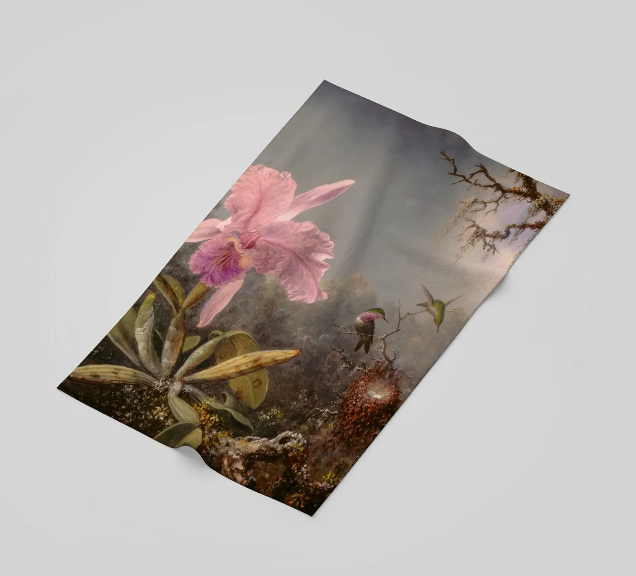 Martin Johnson Heade - Orchidea cattleya telo mare da ARTOTHEK