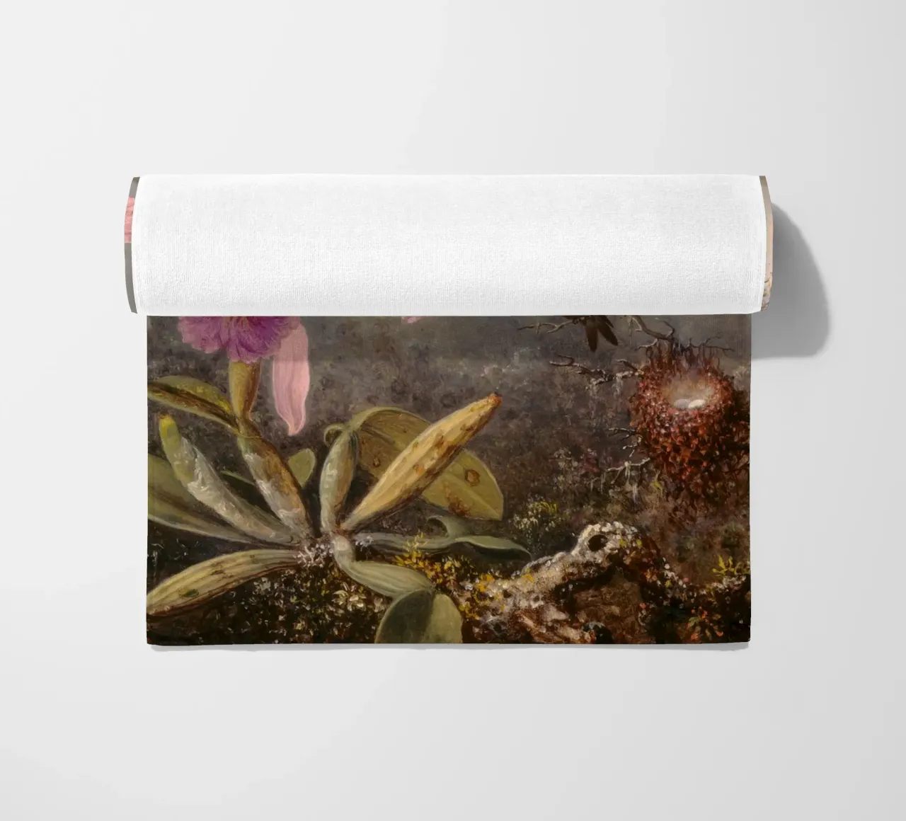 Martin Johnson Heade - Orchidea cattleya telo mare da ARTOTHEK