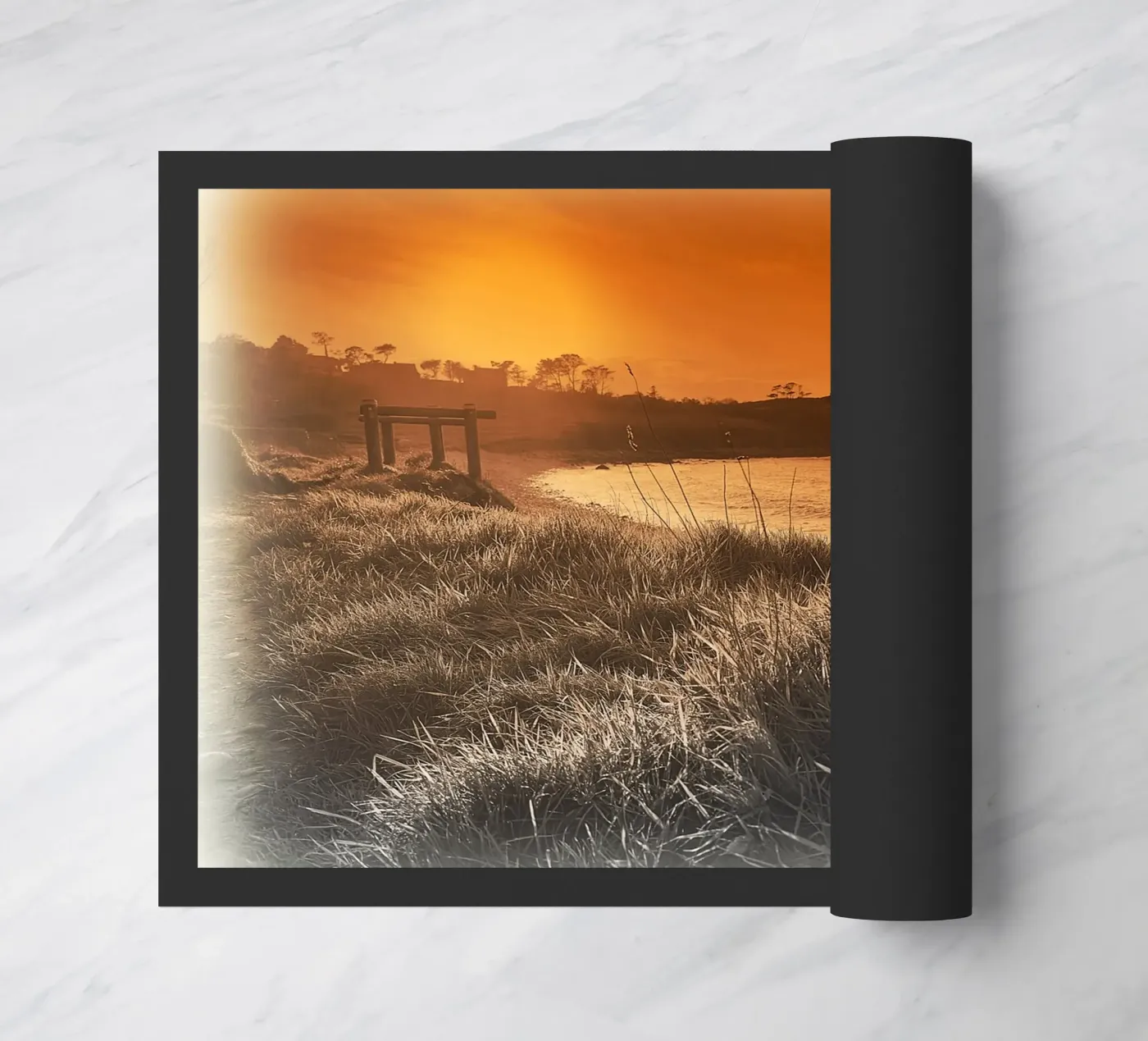 FAA80 zerbino da Thierry vobmann photography