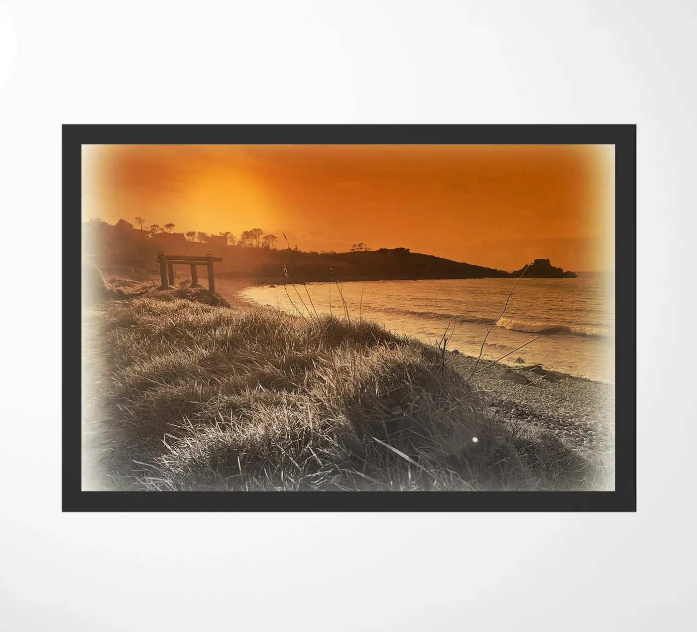 FAA80 zerbino da Thierry vobmann photography