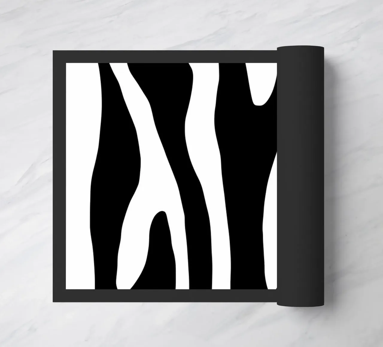 Zebra zerbino da BAINAI