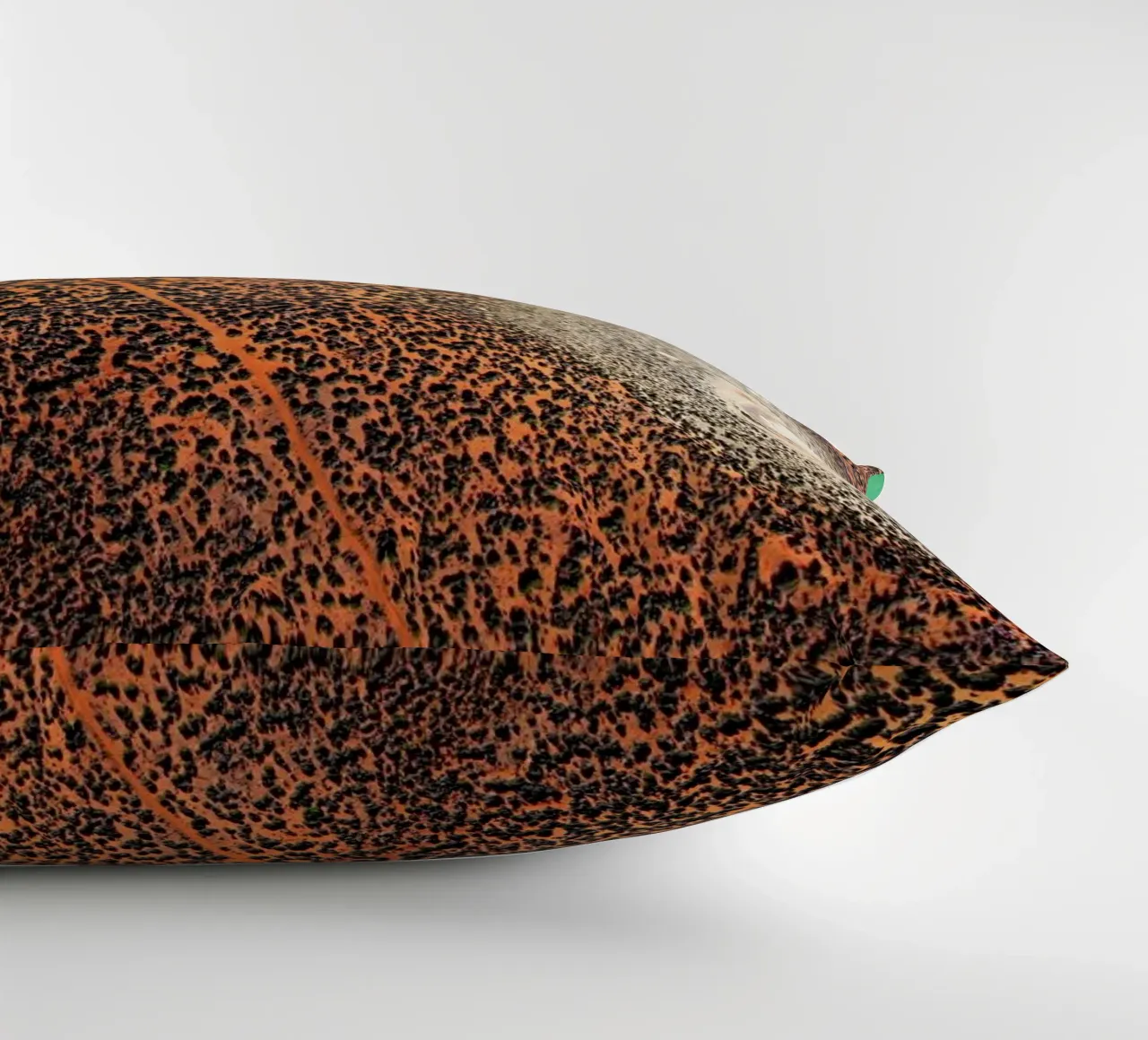 Shark Bay 18 cuscino da Simon Butterworth