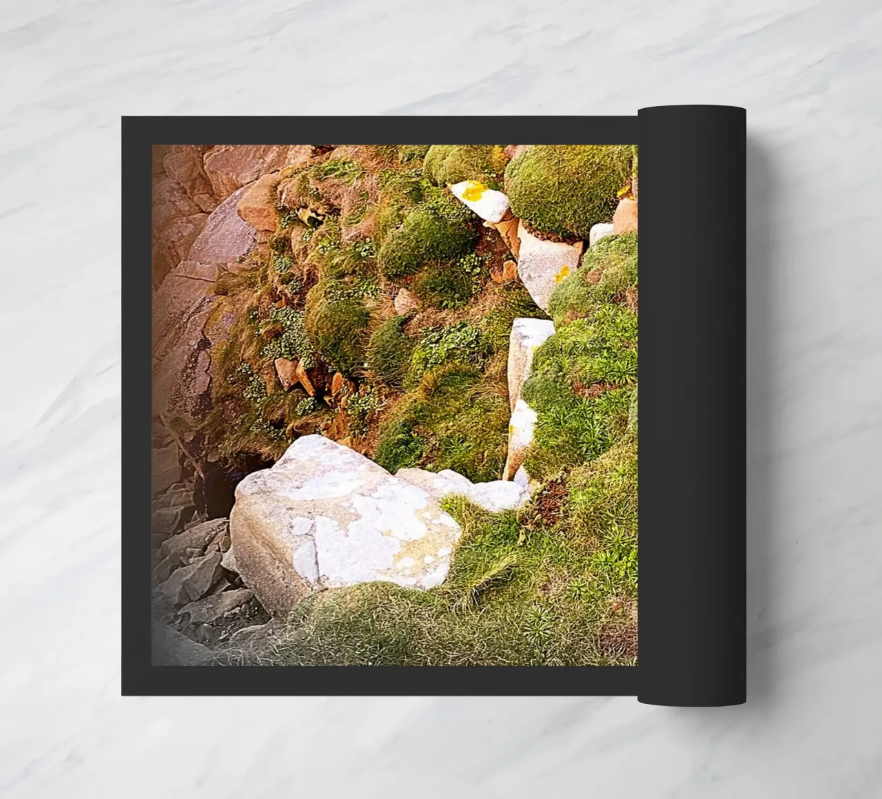 FAA81 zerbino da Thierry vobmann photography