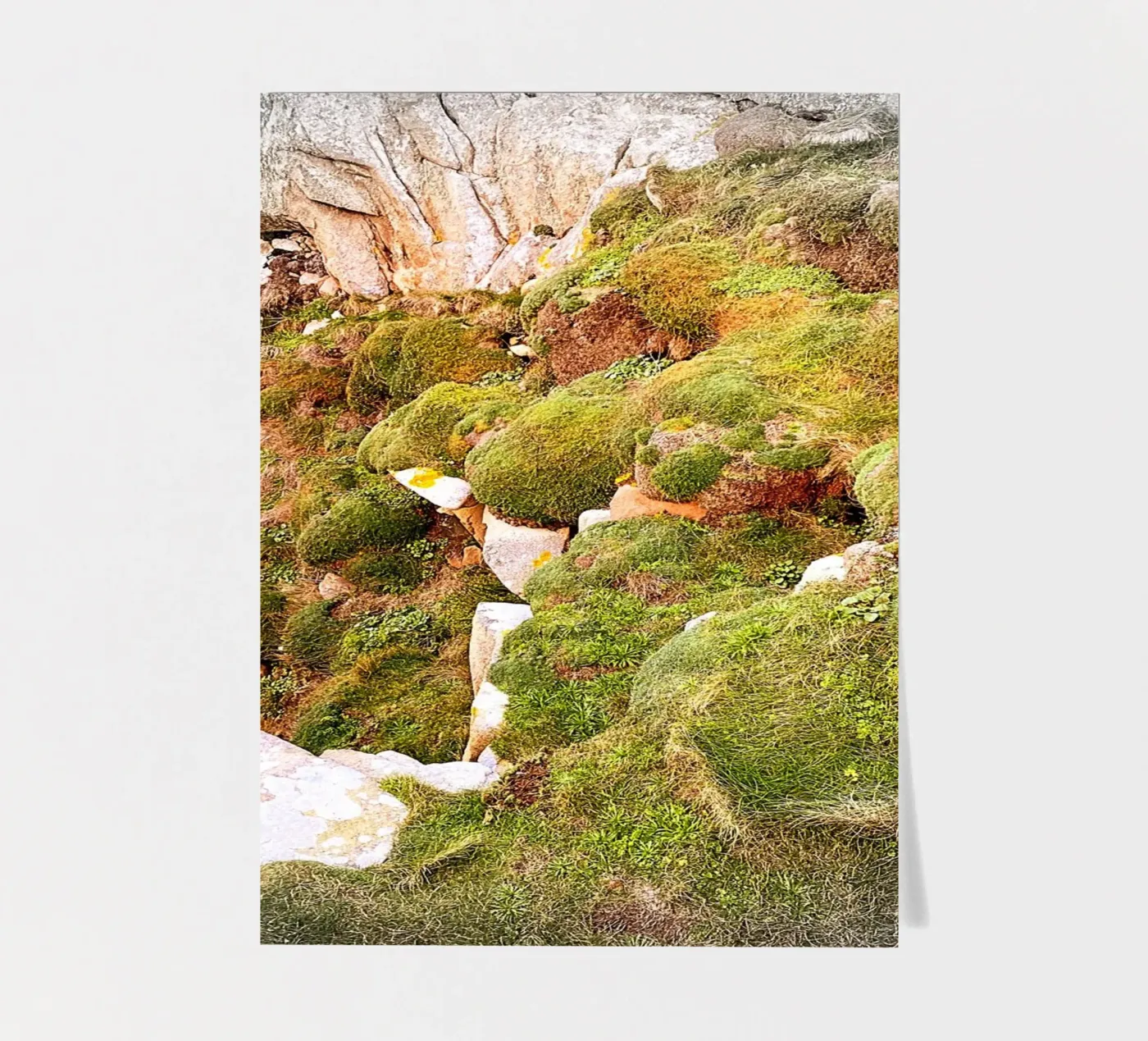 FAA81 sticker sheet by Thierry vobmann photography
