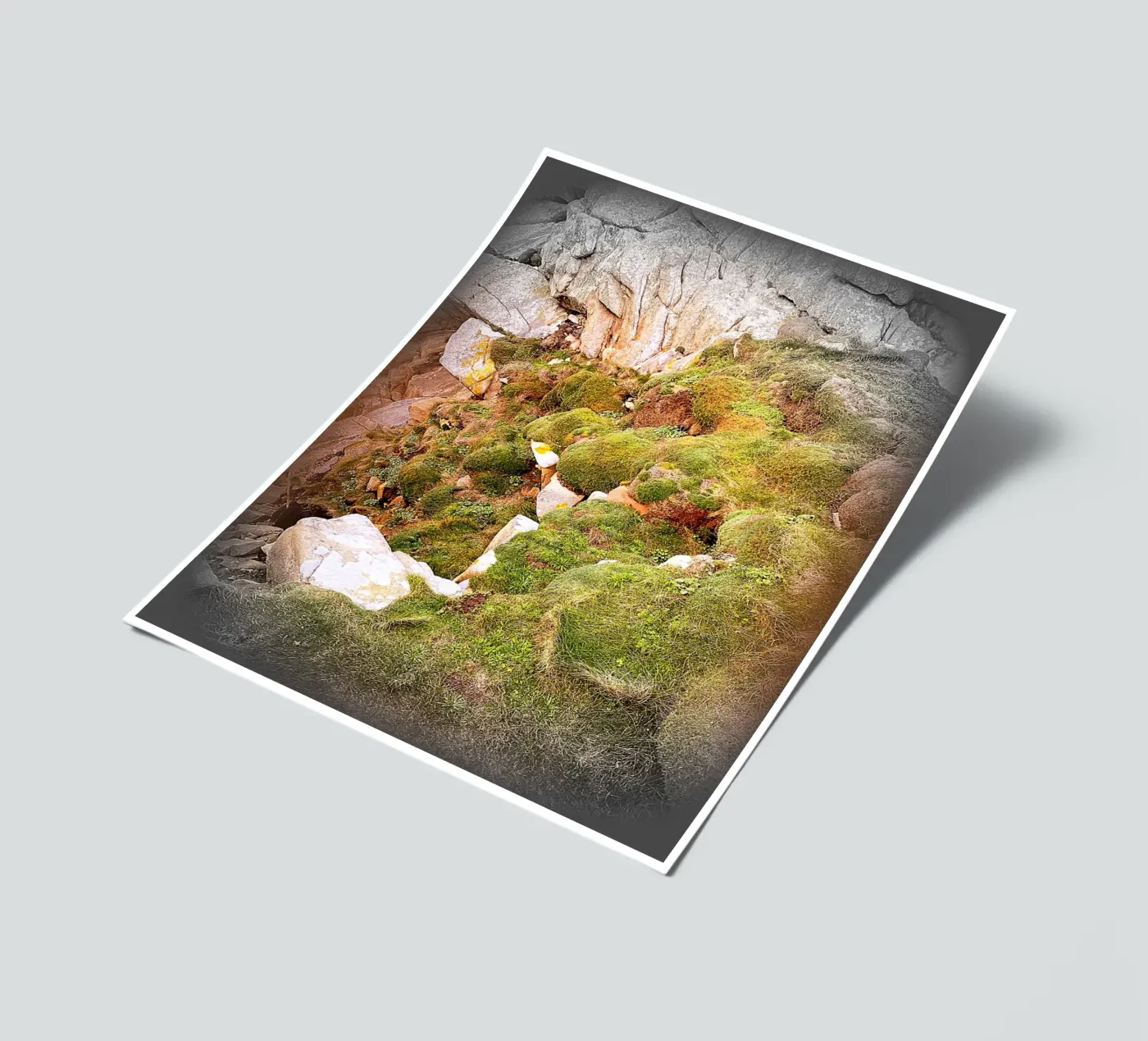 FAA81 sticker sheet by Thierry vobmann photography