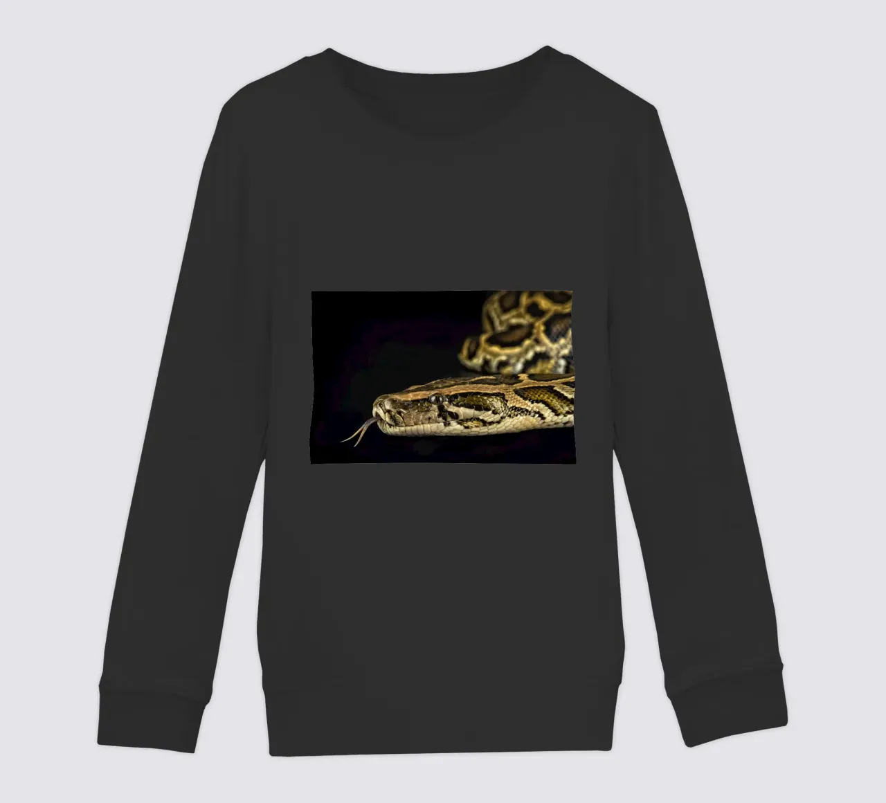 Python Hoofdfoto kinder sweatshirt van Curious Collections by Marielle Leenders