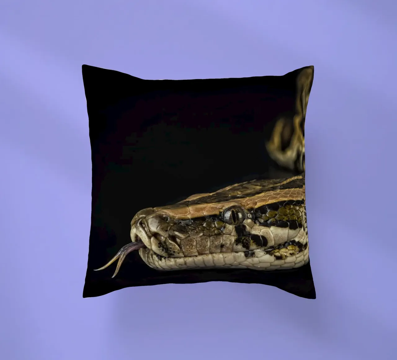 Pitone Immagine di testa cuscino da Curious Collections by Marielle Leenders