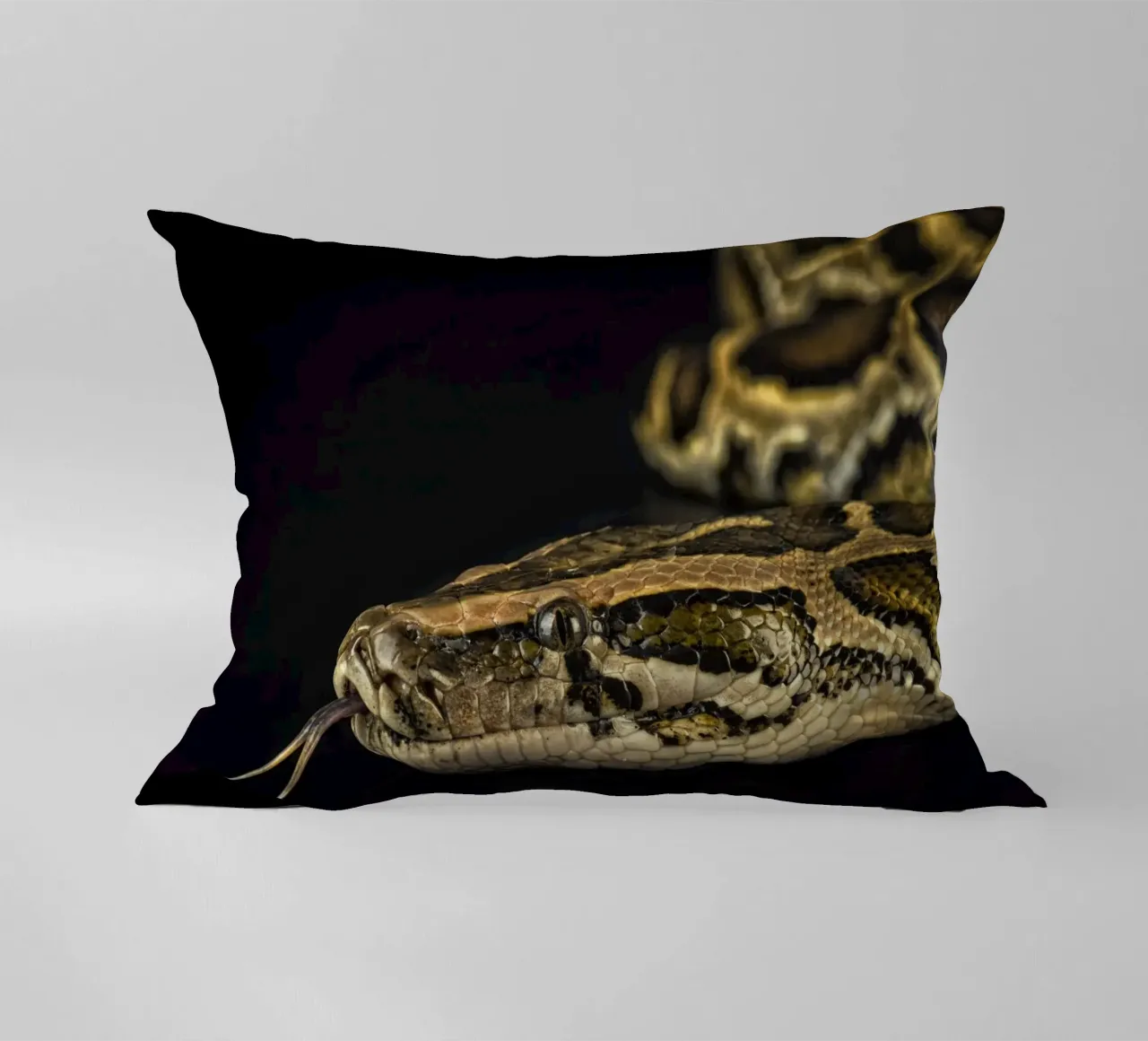 Pitone Immagine di testa cuscino da Curious Collections by Marielle Leenders