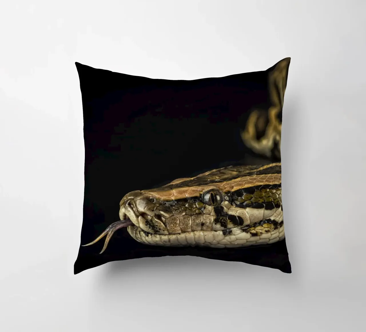 Pitone Immagine di testa cuscino da Curious Collections by Marielle Leenders