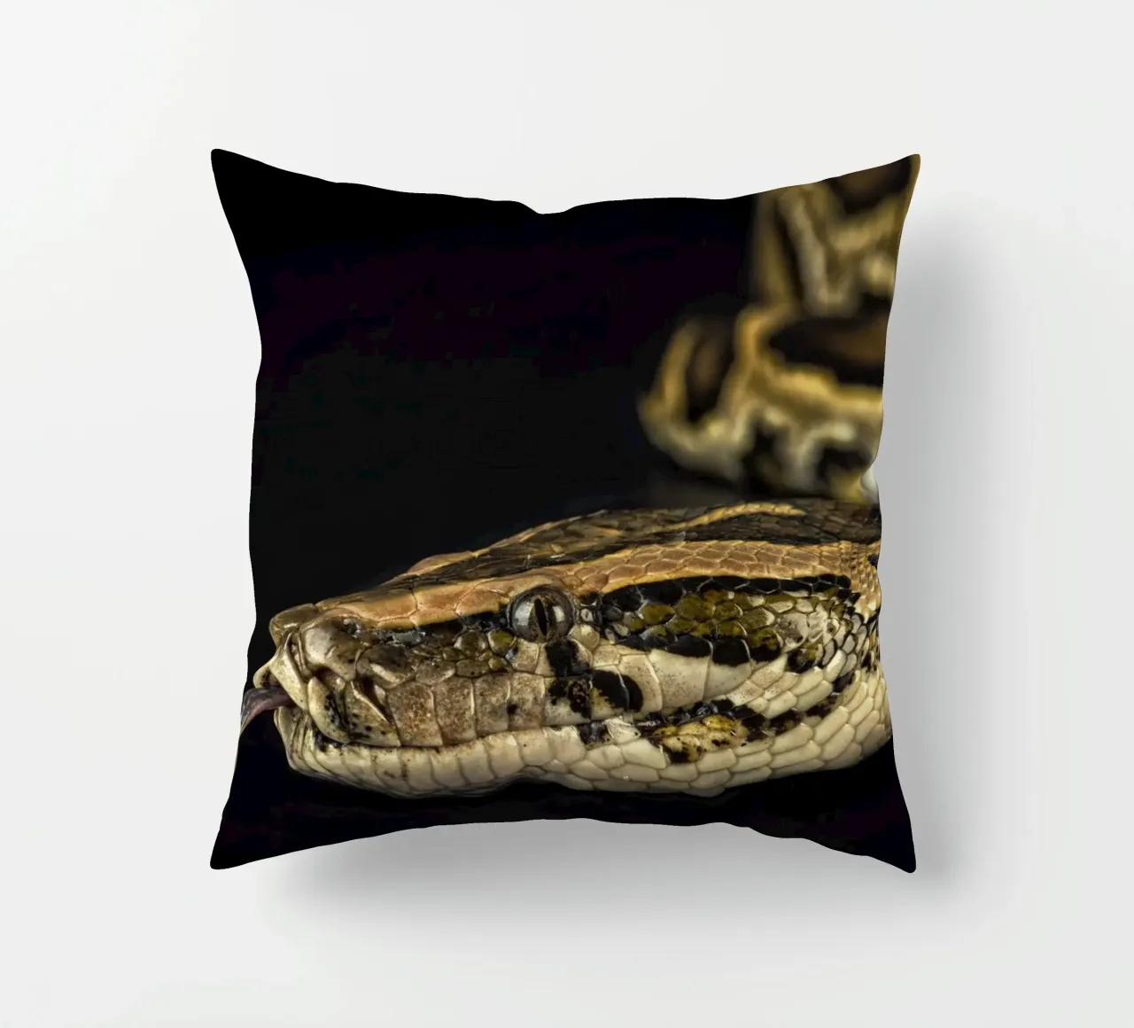 Pitone Immagine di testa cuscino da Curious Collections by Marielle Leenders