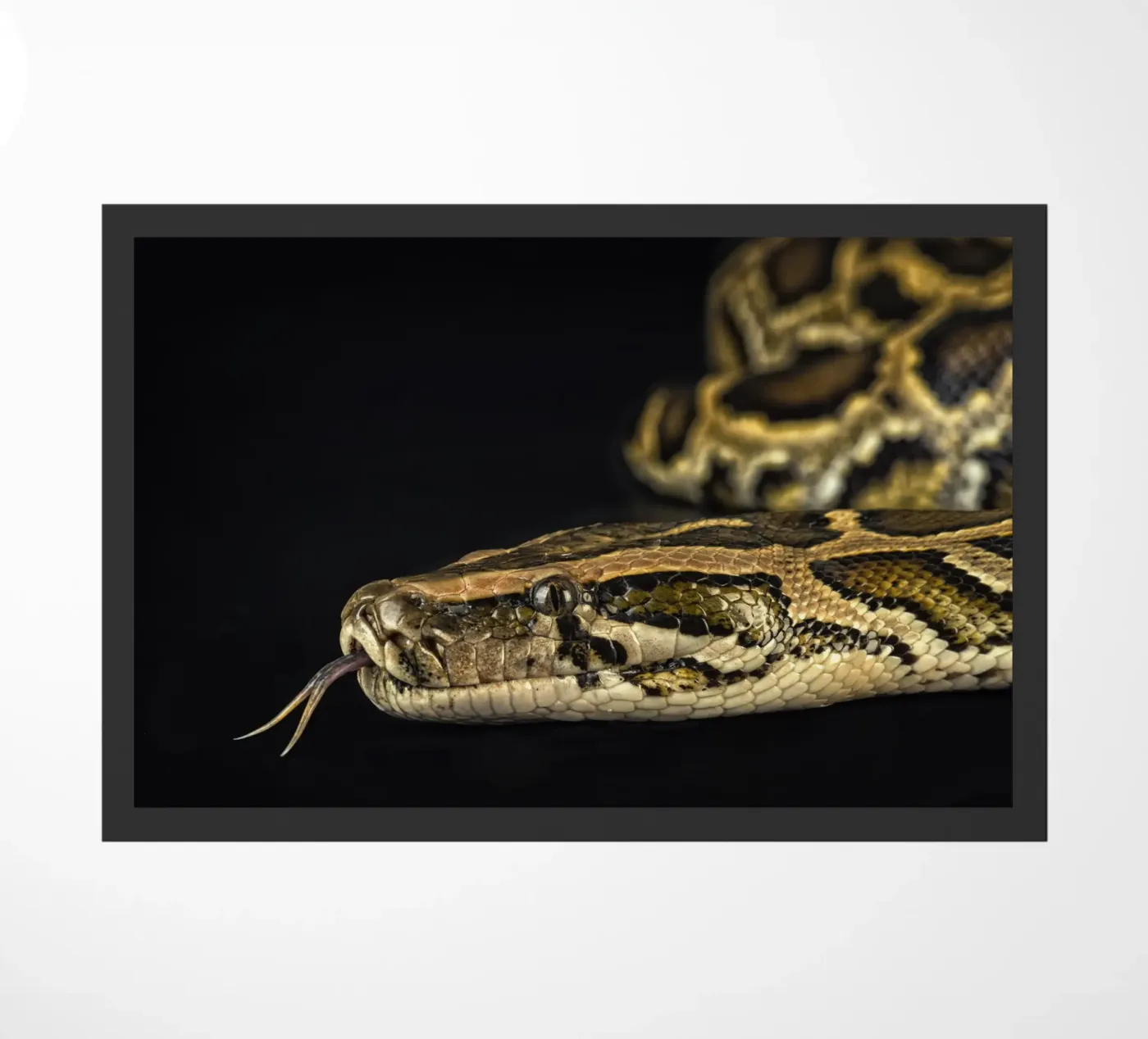 Python Headshot deurmat van Curious Collections by Marielle Leenders