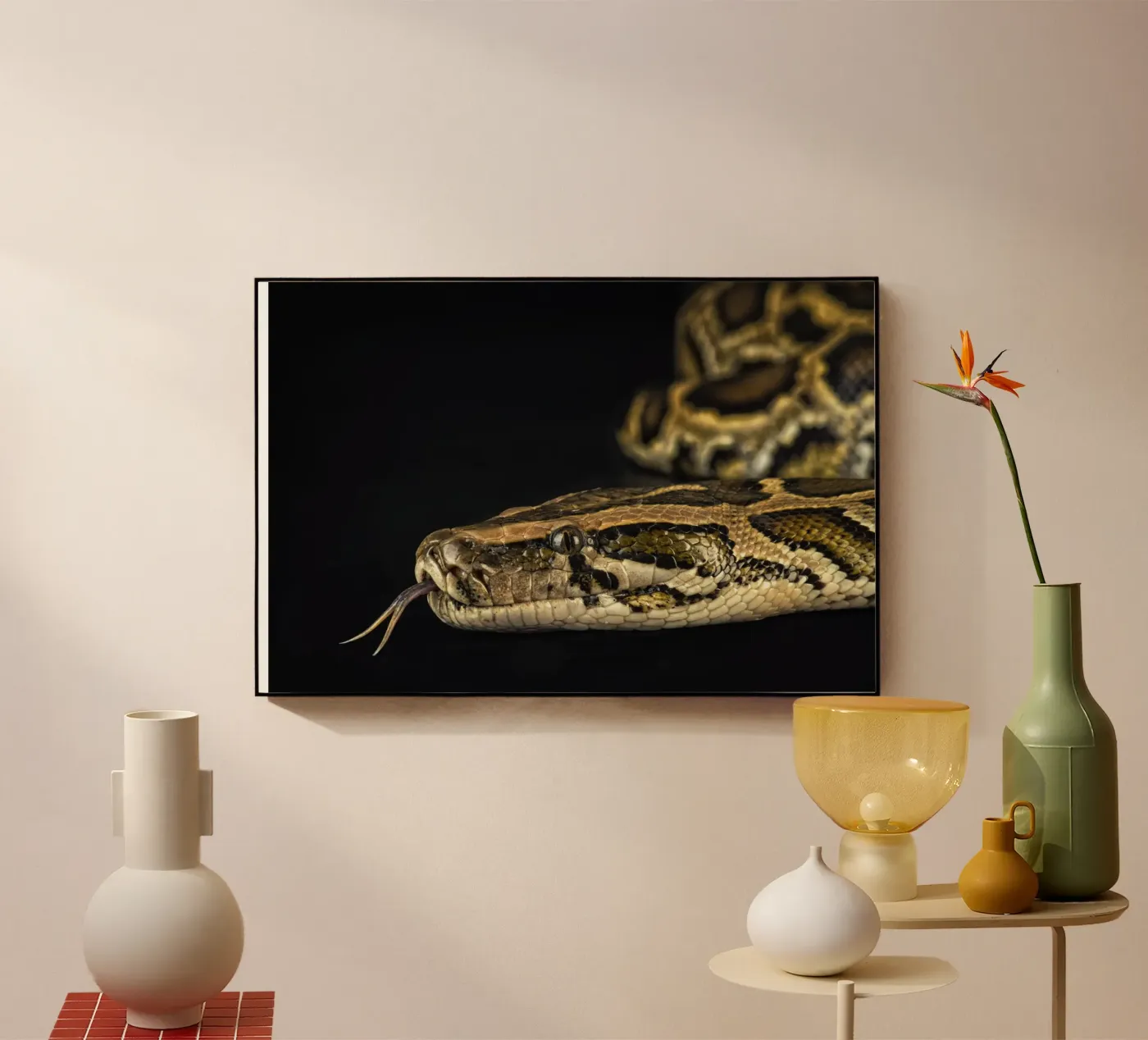 Python Headshot acryl van Curious Collections by Marielle Leenders