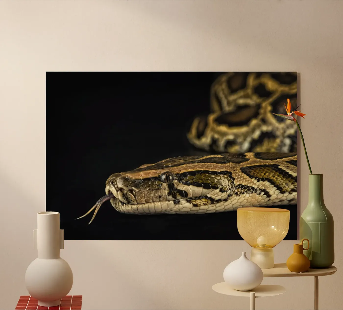 Python Headshot acryl van Curious Collections by Marielle Leenders